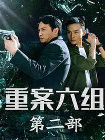 重案六组：四季笙歌