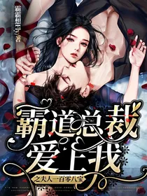 霸道总裁爱上我之夫人一百零八宝