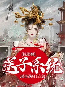 综影视：送子系统