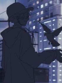 糖与琴
