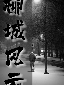 柳城风云