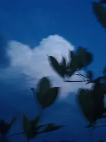 风吹过我们的青春