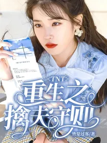 TNT：重生之擒夫守则
