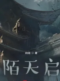 陌天启