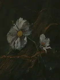 岩蔷薇（悲伤时爱你同人）