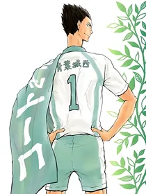 排球少年：韭菜种植手册