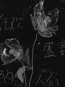 狂欢盛宴的人们
