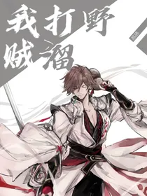 王者：我打野贼溜