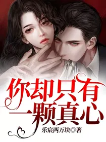 你却只有一颗真心