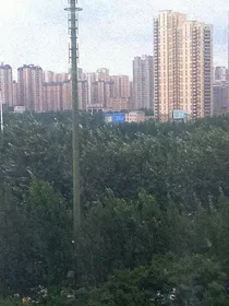 快穿：白莲花静形式