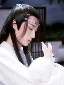 呜哇哇我只要蓝湛