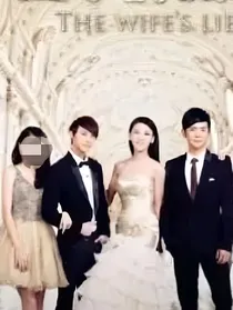 妻子的谎言（江一曦）