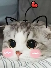 十只兔子的校园生活