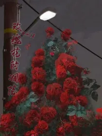 玫瑰花的凋落
