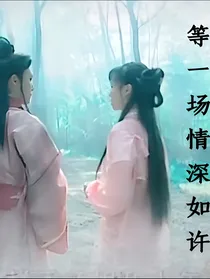 龙游天下之等一场情深如许