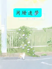 阑珊遗梦