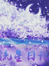 流星日记流星碎影著