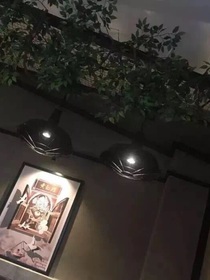 辛夷花