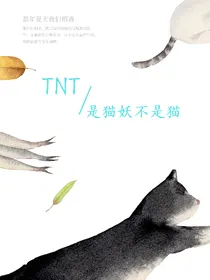 TNT：是猫妖不是猫