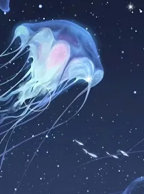 十二生肖（ABO）