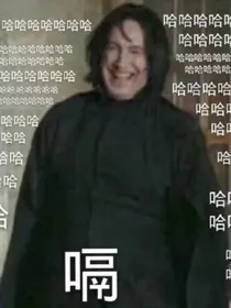 相亲相爱霍格沃兹聊天记录