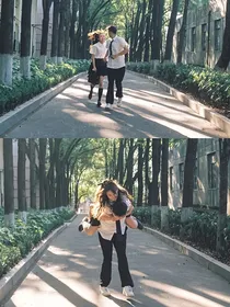 白痴狗狗的呆呆小兔