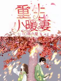 重生小暖妻