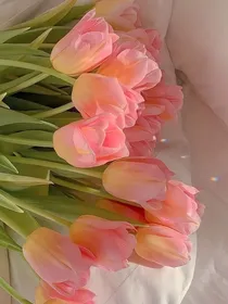 灿白：等一年花开