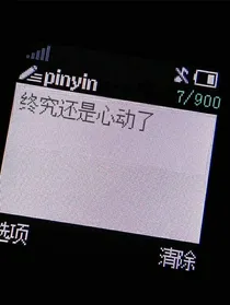 年少的夏天