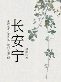 长安宁-d098