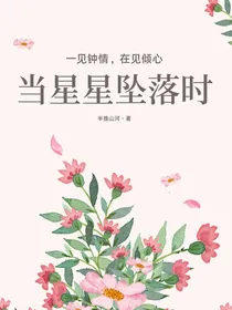 当星星坠落时
