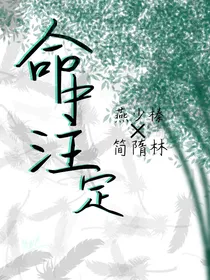 命中注定（简二少的爱情）