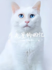 猫武士——月光星的回忆
