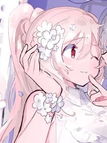 十一月之花
