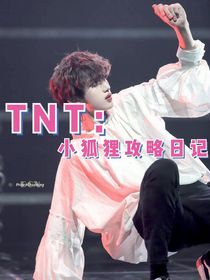 TNT：小狐狸攻略日记