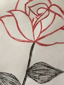 病弱白莲在线教学