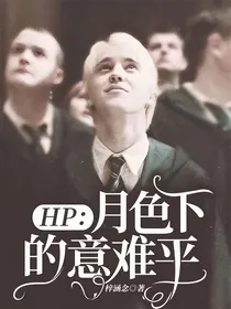 HP：月色下的意难平