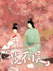 花不误（主线完结）