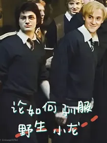 HP论如何驯服野生小龙