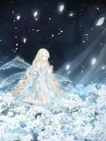 盟卡车神：绯夜的身份