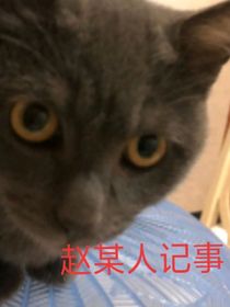赵某人记事