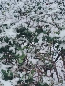 恋上初恋