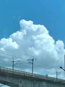 白色卫衣