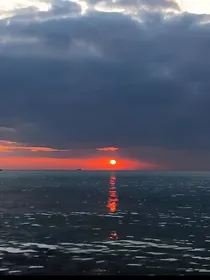 她是本公主的驸马！
