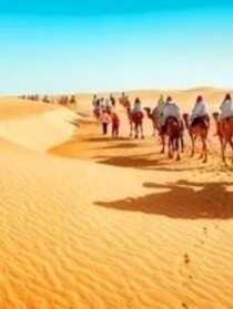 沙漠旅程