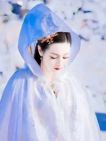 镜双城：霜花