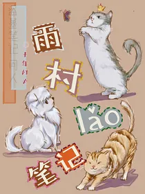 盗笔同人：雨村老笔记