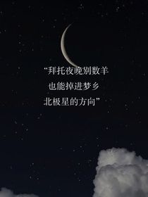 北极星的方向