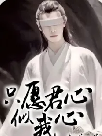 只愿君似我心（陈情令）