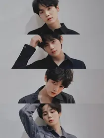BTS：世间心语